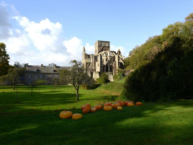 Automne A Labbaye De Hambye