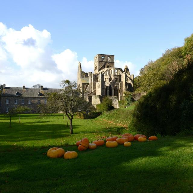 Automne A Labbaye De Hambye