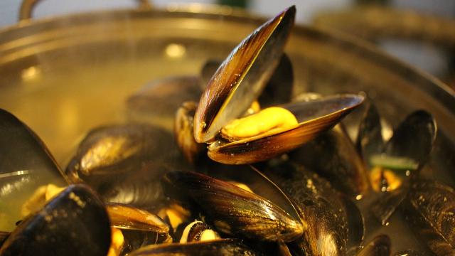 Recette Moules A La Normande