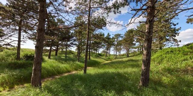 La pointe d'Agon au printemps