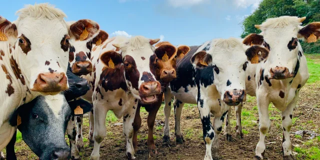 Salon De Lagriculture Pres De Chez Vous Coutances