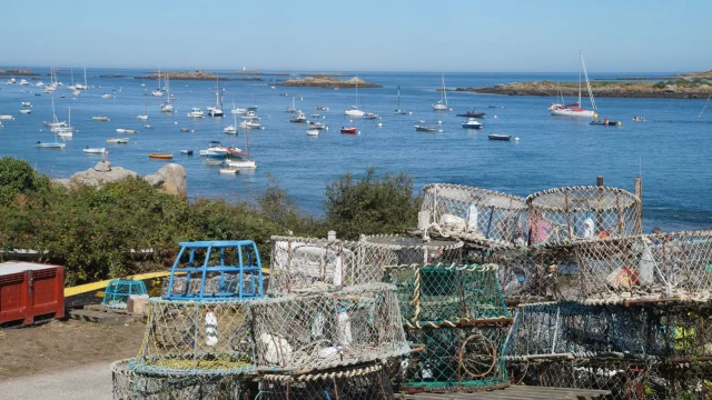 Bateaux à Chausey