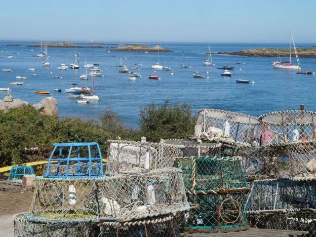 Bateaux à Chausey