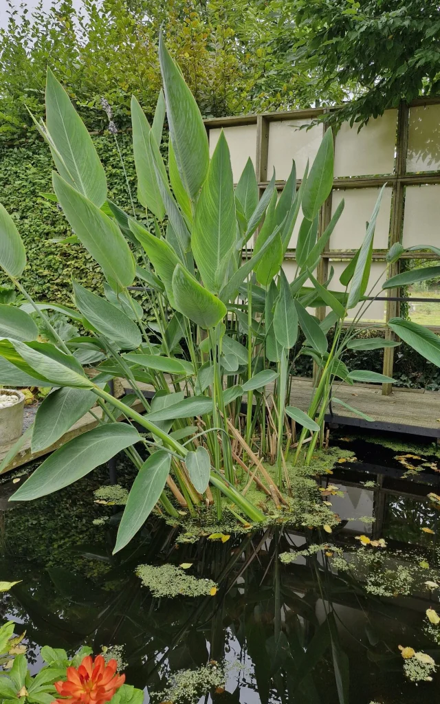 Jardin Du Revers Notre Dame De Cenilly 13