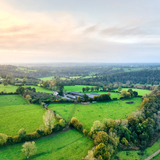 Campagne Hambye Automne 2024