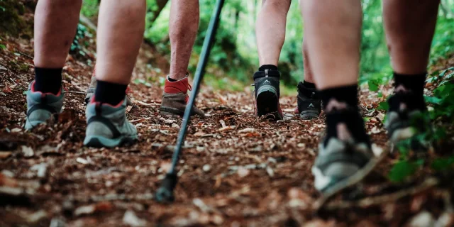 Randonner dans les chemins