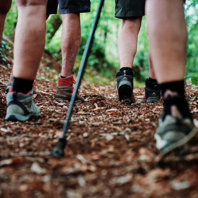 Randonner dans les chemins